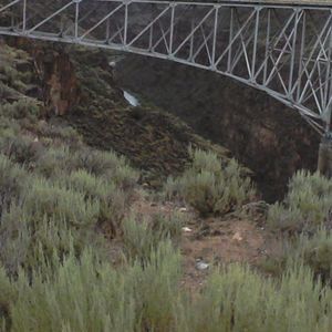 Meet your Posher, Kitty