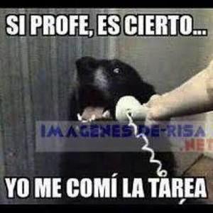 Meet your Posher, Nando