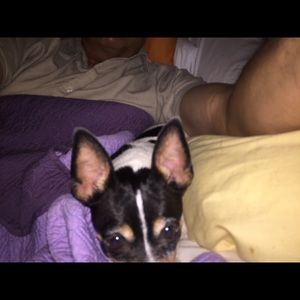 Meet your Posher, Phil