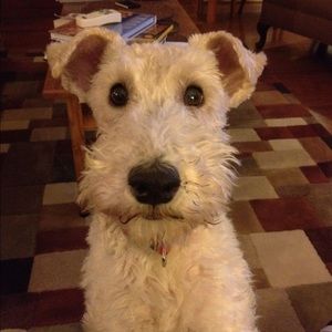 Meet your Posher, Carla