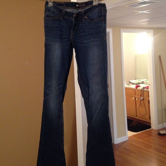 Levi demi curve