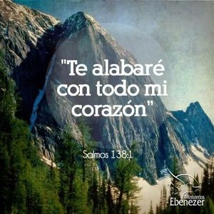 Meet your Posher, Tony