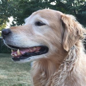 Meet your Posher, Karen