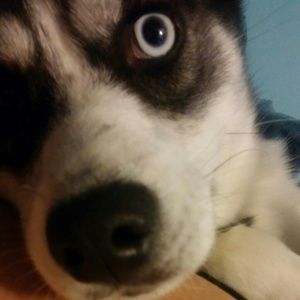 Meet your Posher, Jessica