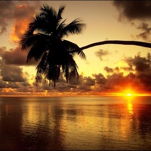 Meet your Posher, Randi