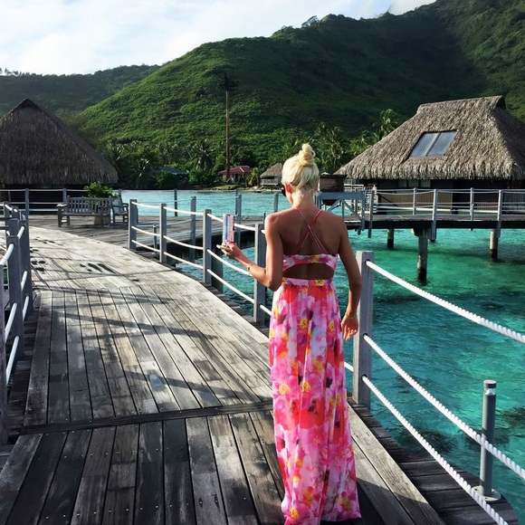 Meet your Posher, Ashton - Picture 4 of 4