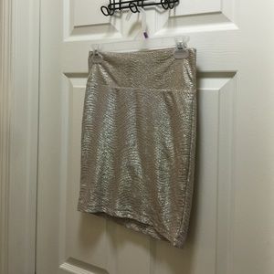 Silver skirt