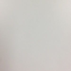 Meet your Posher, Dianna