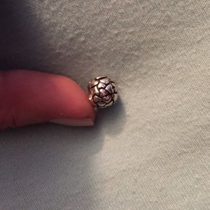 Pandora heart charm