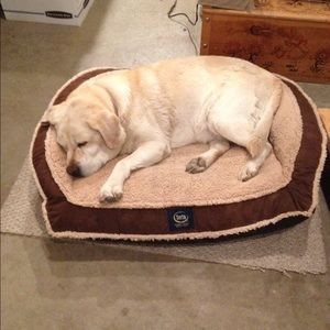 Meet your Posher, Jane