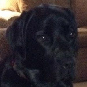 Meet your Posher, Marlene