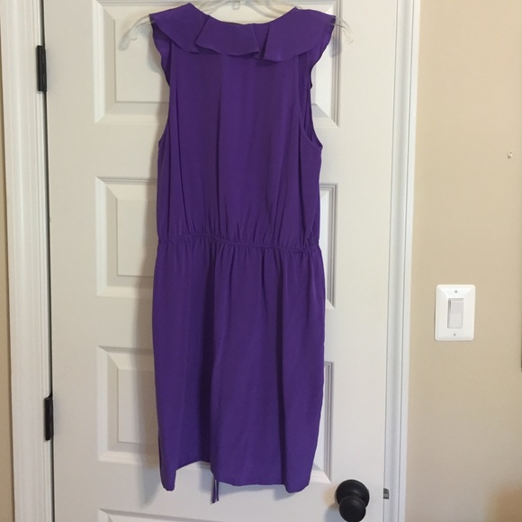 Lovely Presley Skye Silk Dress - Picture 4 of 4