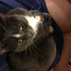 Meet your Posher, Brittney