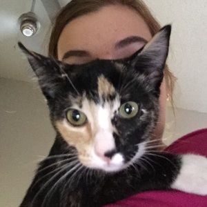 Meet your Posher, Lily