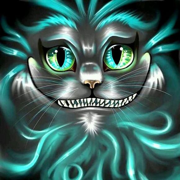 Meet your Posher, Claire - Picture 1 of 1