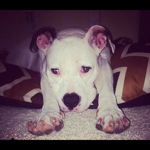 Meet your Posher, Lauren