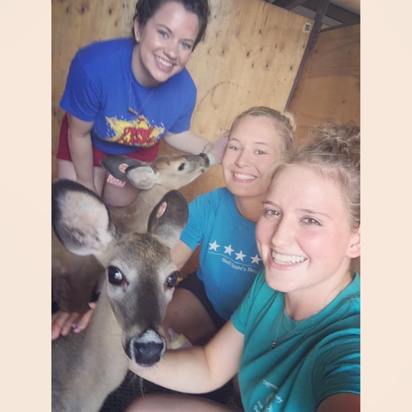 Meet your Posher, Alise