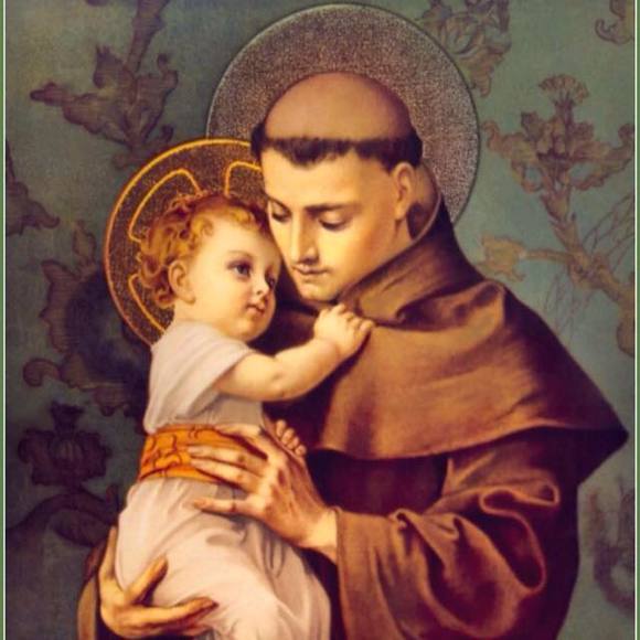 Meet your Posher, Dominique - Picture 1 of 1