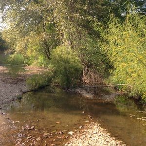 Meet your Posher, Destiny