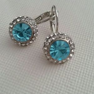 Shiny Blue Earrings