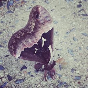 Meet your Posher, Elaina