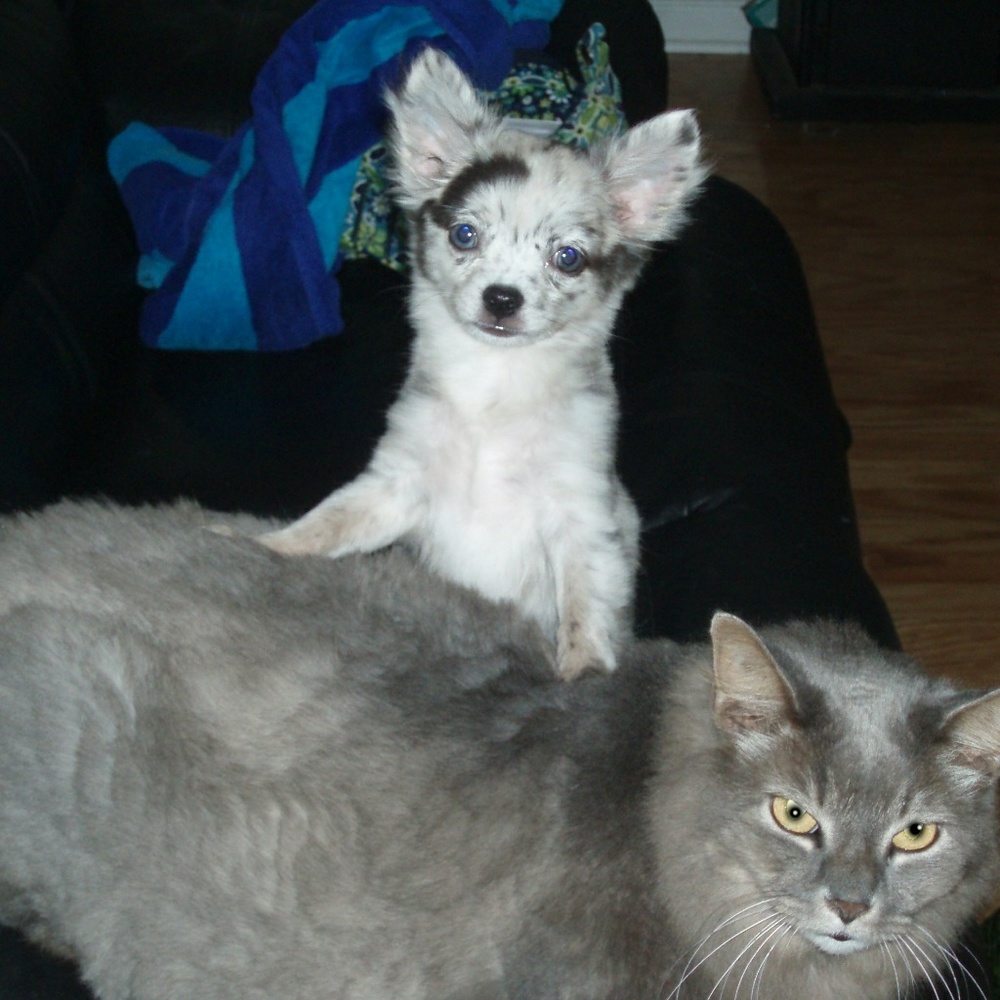 Meet your Posher, Jennifer