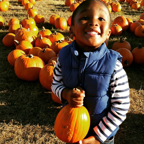 Meet your Posher, C. Annette - Picture 3 of 4