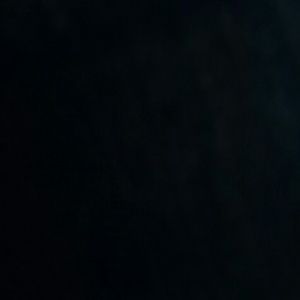 Meet your Posher, Lizzy