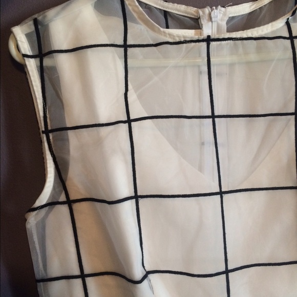 💋 SOLD 💋Sheer Grid Mini Dress - Picture 3 of 3