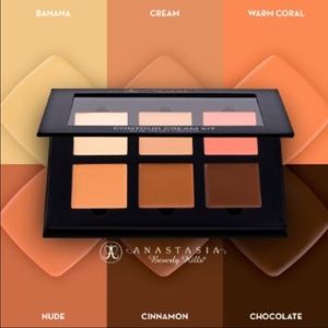 Anastasia Cream Contour Kit in Medium