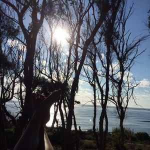 Meet your Posher, Sydney