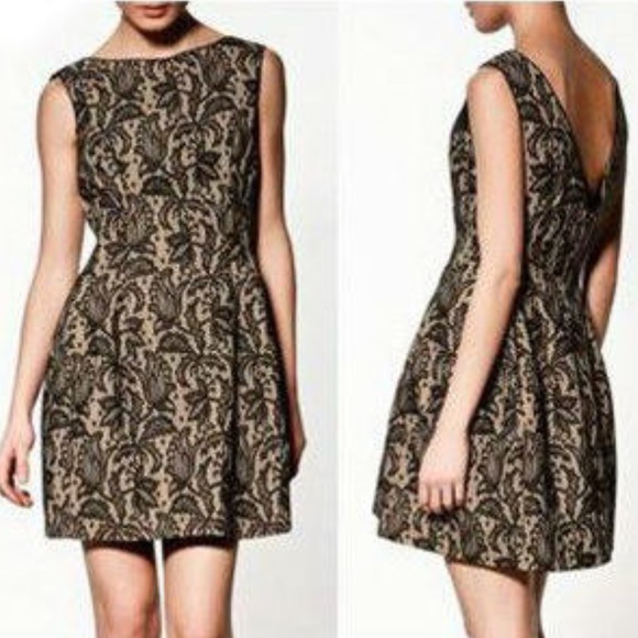 Zara black and nude lace tulip dress , size S