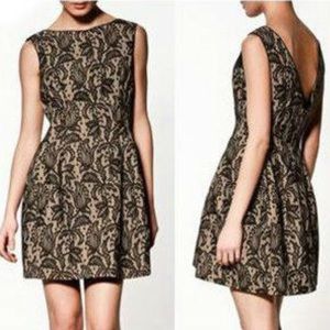 Zara black and nude lace tulip dress , size S