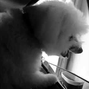 Meet your Posher, Brandy