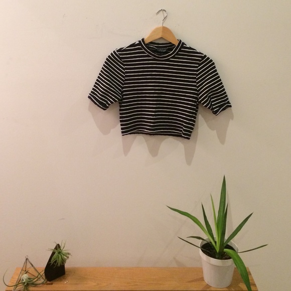 Top Shop Knit Cropped Top