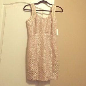 Champagne shimmering dress! NWT