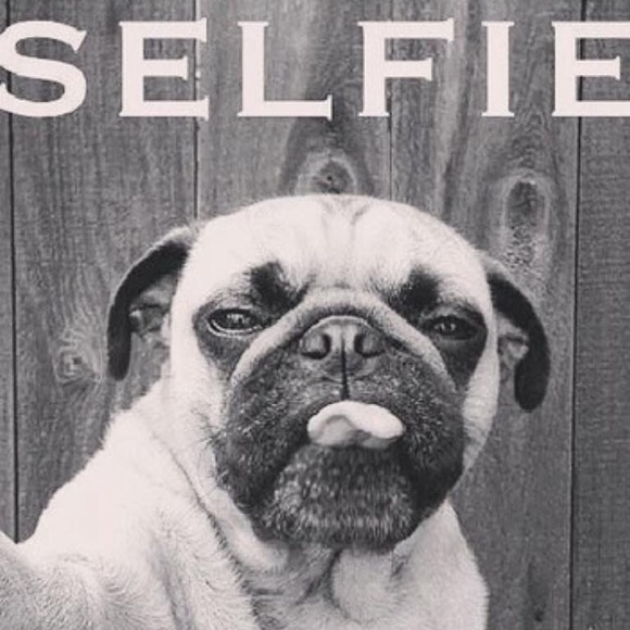 Follow Game 2016 - Picture 2 of 4