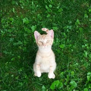 Meet your Posher, Sidney