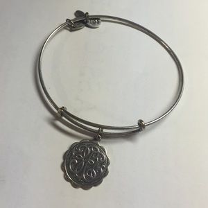 DISCONTINUED ORIGINAL PATH OF LIFE ALEX AND ANI