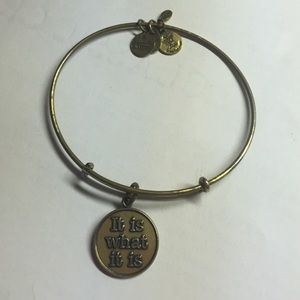 ALEX AND ANI IT IS WHAT IT IS