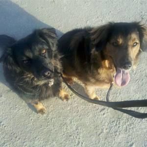 Meet your Posher, Manda