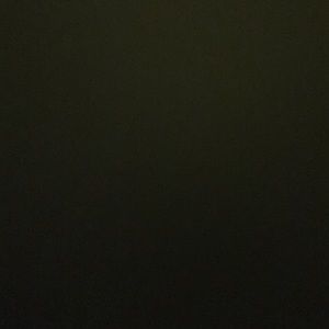 Meet your Posher, Kenny