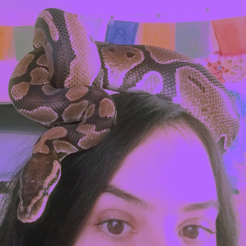 Meet your Posher, Amanda