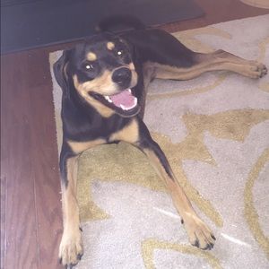 Meet your Posher, Christine