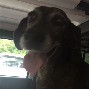 Meet your Posher, Elizabeth