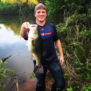 Meet your Posher, Dillon