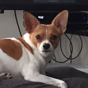 Meet your Posher, Anne