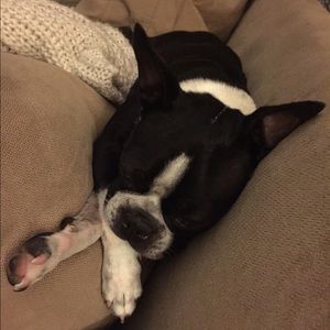 Meet your Posher, Allison