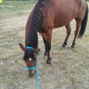 Meet your Posher, Melisa