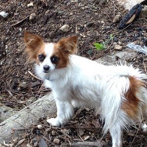 Meet your Posher, Heidi